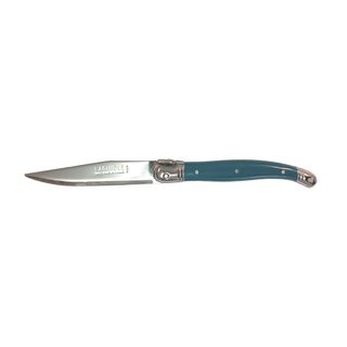 Laguiole Fruit Knife Teal (3)