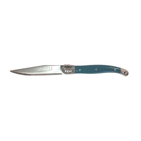 Laguiole Fruit Knife Teal (3)
