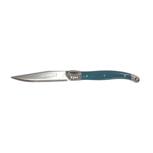 Laguiole Fruit Knife Teal (3)