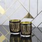 Artland Midnight Peacock Dof Tumbler Set2