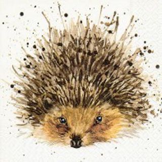 Cocktail - Cute Hedgehog