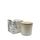 100g Coconut Wax Jar Candle-fresh Cut Or