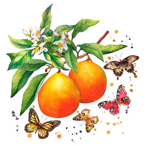 Cocktail -fruity Butterflies