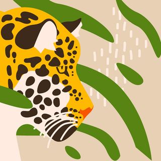 Cocktail -amur Leopard