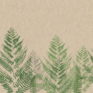 Luncheon -naturals Fern