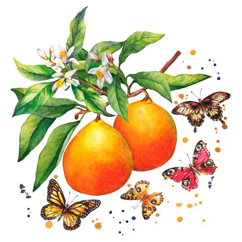 Luncheon -fruity Butterflies