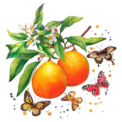 Luncheon -fruity Butterflies