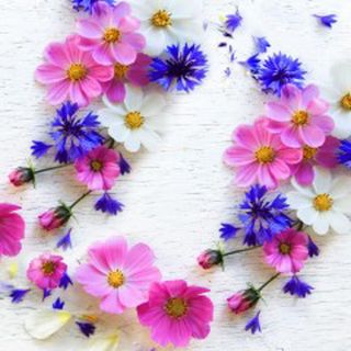 Luncheon -summer Florals