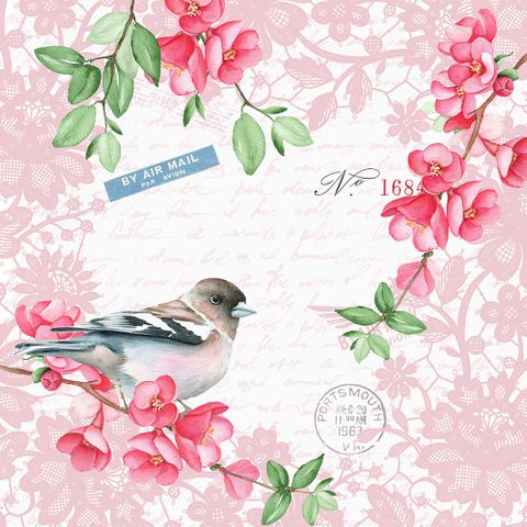 Cocktail -sweet Bird