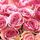 Luncheon -pink Roses