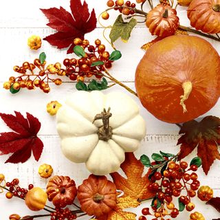 Luncheon -pumpkin & Leaves