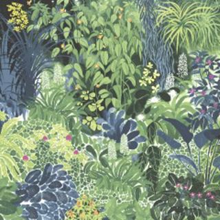 Luncheon -secret Place