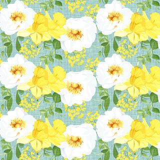 Luncheon - Daffodil Dream