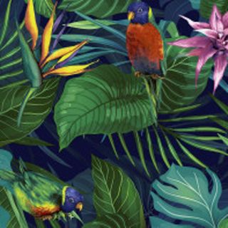 Cocktail -jungle Paraiso