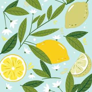 Luncheon -lemon Tree