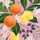 Luncheon -exotic Fruits