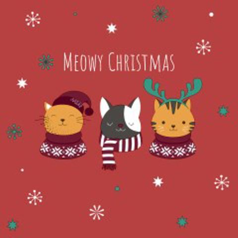 Luncheon - Meowy Xmas