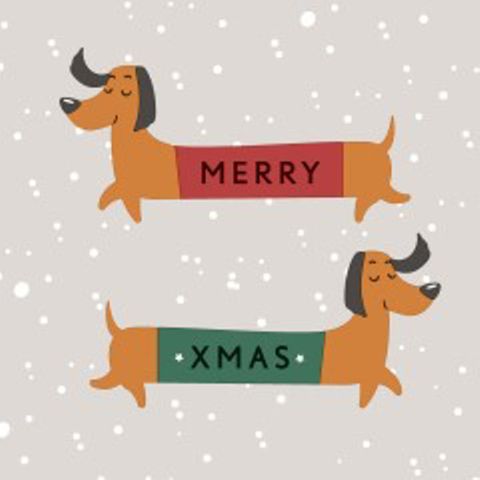 Luncheon - Merry Dachshund