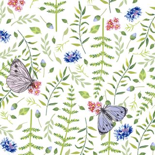 Luncheon -nature Butterflies