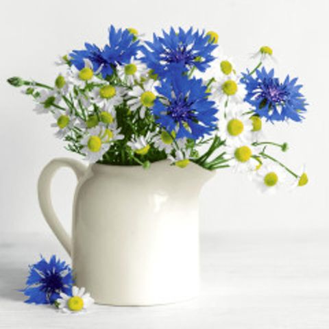 Luncheon -summer Bouquet