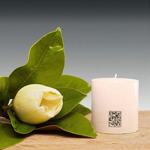 70x75mm Smooth Finish Cylinder -cream