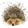 Luncheon -cute Hedgehog