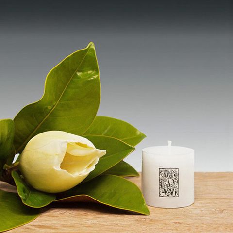 50x50mm Smooth Finish Cylinder -white