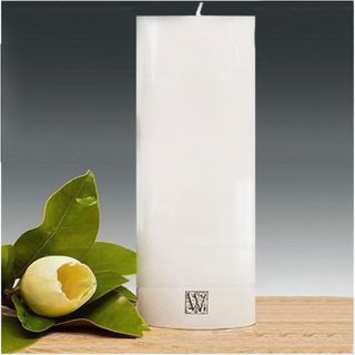 100x460mm Smooth Finish Cylinder -white