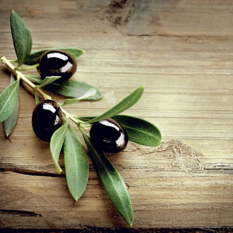 Luncheon - Olives In A Wood