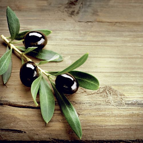 Luncheon - Olives In A Wood