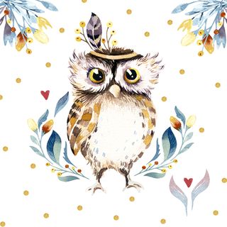 Luncheon - Flower Owl