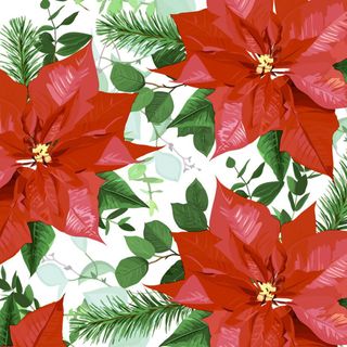 Luncheon - Floral Christmas