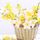 Luncheon - Daffodil Basket