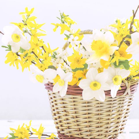 Luncheon - Daffodil Basket