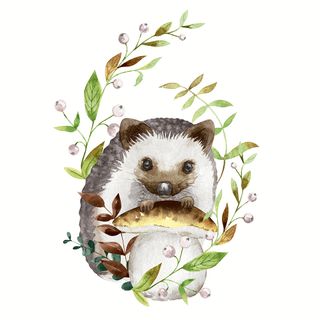 Luncheon - Forest Hedgehog