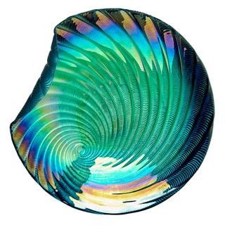 Drh Iridescent Shell Bowl