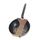 Country Frypan Steel Blue Carbon 28