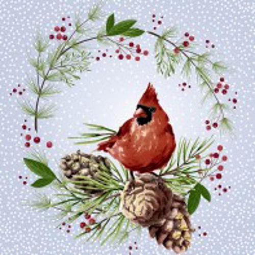 Cocktail - Winter Cardinal