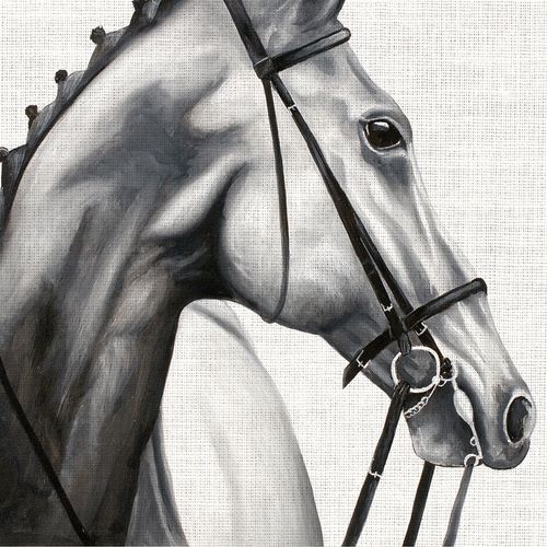 Luncheon - Elegant Horse