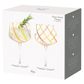 Asd Rio Gin Glasses Citrus Set Of 2