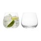 Asd Juno Dof Tumblers Set Of 2