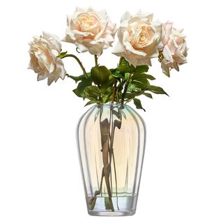 Asd Aura Vase