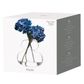 Asd Eclipse Vase
