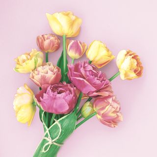 Luncheon - Herald Of Spring