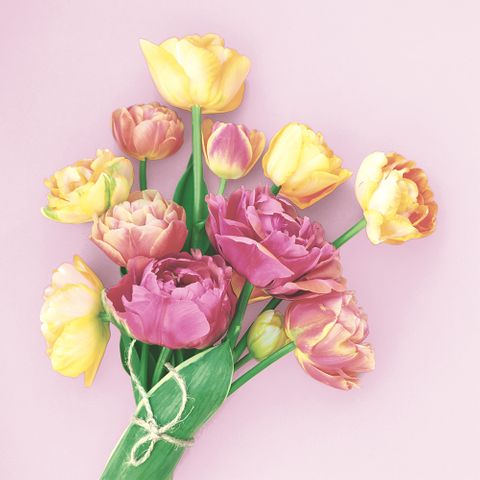 Luncheon - Herald Of Spring