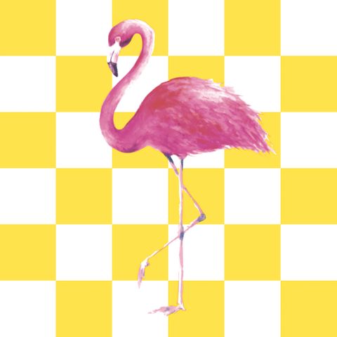 Luncheon - Flamingo Tropic