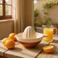 Porto Terracotta Ribbed Juicer - Stone