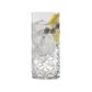 Dornberger Dorchester Highball Tumblers Fully Cut
