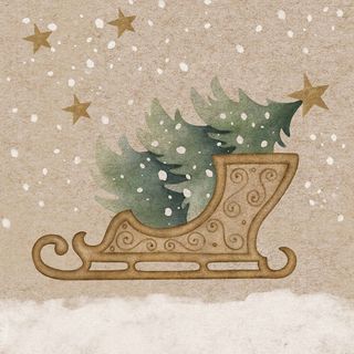 Luncheon - Winter Sledge