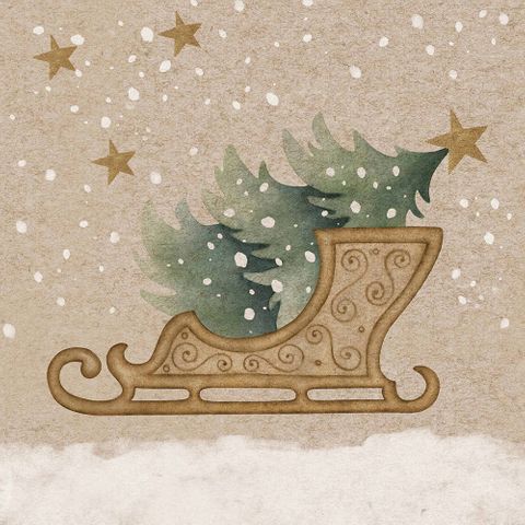 Luncheon - Winter Sledge